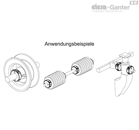 ANPS_ACC_EXAMPLE_DE
