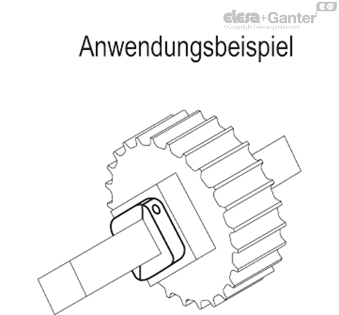 ANPS_Q_ACC_EXAMPLE_DE