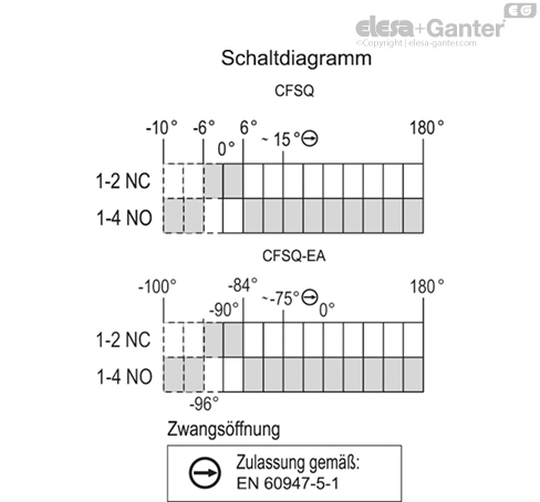 CFSQ_ACC_CONNECTION_DE