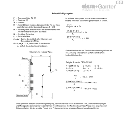 CFSQ_ACC_EXAMPLE_DE