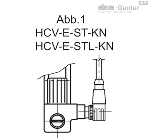 HCV_E_S_FIG1_DE