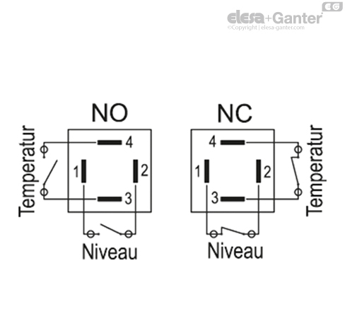 HCY_E_ST_ACC_ISSUES_DE