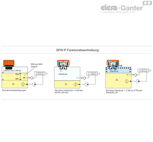 SFW_P_ACC_EXAMPLE_DE