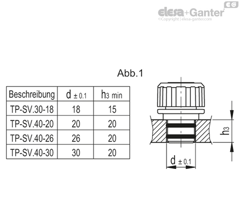 TP_SV_MOUNT_EXAMPLE_DE